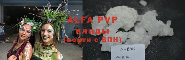 дмт Богданович