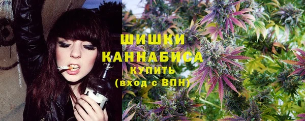 стафф Богородицк