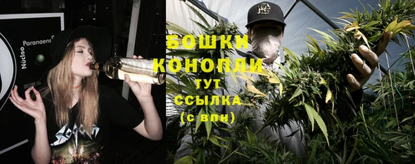 стафф Богородицк