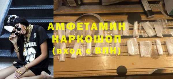 дмт Богданович
