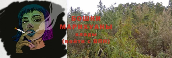 дмт Богданович
