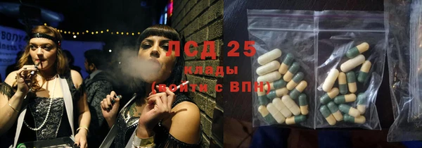 дмт Богданович