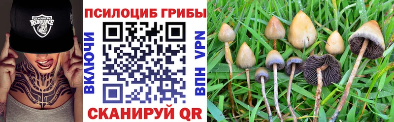 Псилоцибиновые грибы Magic Shrooms даркнет сайт Владивосток